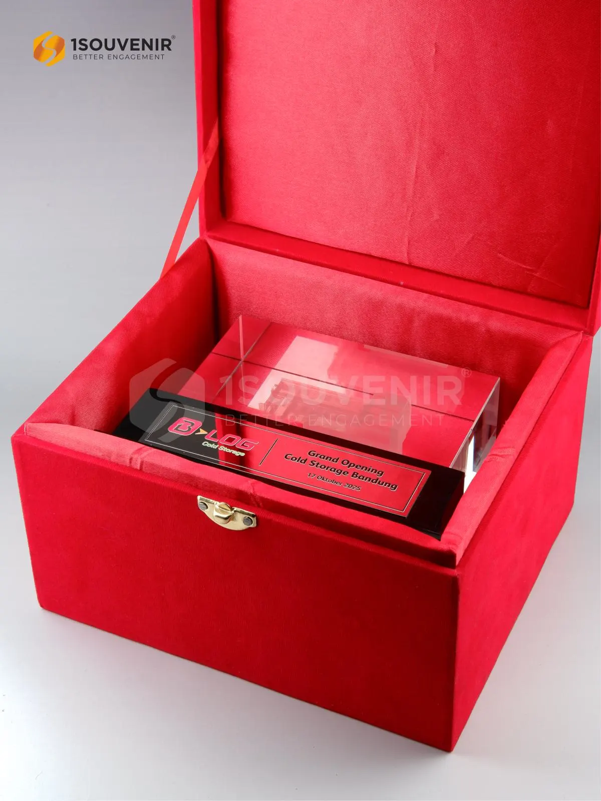 DETAIL2-PKR352 Plakat Kristal B-Log